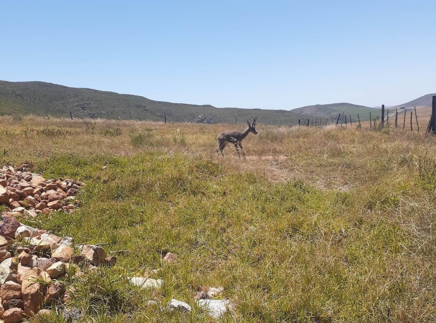 2 Bedroom Property for Sale in Swellendam Rural Western Cape